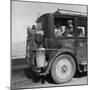 Drought Refugees from Abilene, Texas, Working as Migratory Workers-Dorothea Lange-Mounted Photographic Print