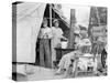 Drought refugees from Texas encamped in California, 1936-Dorothea Lange-Stretched Canvas