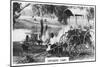 Drovers Camp, Australia, 1928-null-Mounted Premium Giclee Print