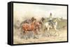 Droving Horses in the Roman Campagna (W/C on Paper)-Enrico Coleman-Framed Stretched Canvas