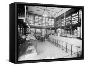 Drug Store with Soda Fountain, Possibly in Detroit, Michigan-null-Framed Stretched Canvas