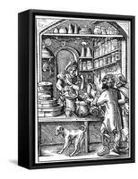 Druggist, 16th Century-Jost Amman-Framed Stretched Canvas