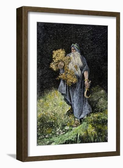 Druid Carrying Mistletoe and a Sickle-null-Framed Giclee Print