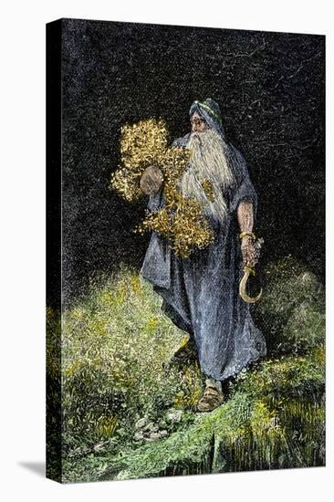 Druid Carrying Mistletoe and a Sickle-null-Stretched Canvas