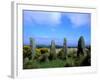 Druid Circle, Ardgroom Outward, County Cork, Ireland-Marilyn Parver-Framed Photographic Print