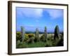 Druid Circle, Ardgroom Outward, County Cork, Ireland-Marilyn Parver-Framed Photographic Print