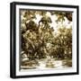 Druid Oak Square II-Alan Hausenflock-Framed Photographic Print