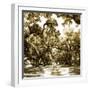 Druid Oak Square II-Alan Hausenflock-Framed Photographic Print