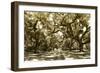 Druid Oaks I-Alan Hausenflock-Framed Photographic Print