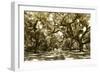 Druid Oaks I-Alan Hausenflock-Framed Photographic Print