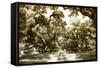 Druid Oaks II-Alan Hausenflock-Framed Stretched Canvas