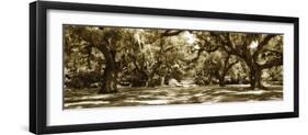 Druid Oaks Panel I-Alan Hausenflock-Framed Photographic Print