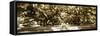 Druid Oaks Panel II-Alan Hausenflock-Framed Stretched Canvas