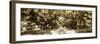 Druid Oaks Panel II-Alan Hausenflock-Framed Photographic Print