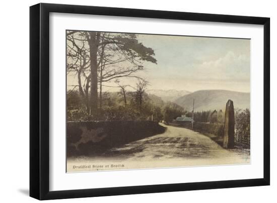 Photographic Print, , large