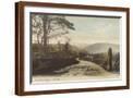 Brown Frame