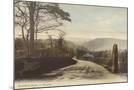 Wood Mount