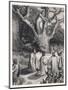 Druids Cut the Sacred Mistletoe-Jeanron-Mounted Art Print