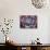 Drum in Temple During Holi Festival, Mathura, Uttar Pradesh, India-Peter Adams-Photographic Print displayed on a wall