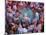 Drum in Temple During Holi Festival, Mathura, Uttar Pradesh, India-Peter Adams-Mounted Photographic Print