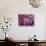 Drum in Temple During Holi Festival, Mathura, Uttar Pradesh, India-Peter Adams-Stretched Canvas displayed on a wall