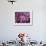 Drum in Temple During Holi Festival, Mathura, Uttar Pradesh, India-Peter Adams-Framed Photographic Print displayed on a wall