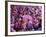 Drum in Temple During Holi Festival, Mathura, Uttar Pradesh, India-Peter Adams-Framed Photographic Print