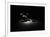 Drum Kit, Elevated View-Thomas Northcut-Framed Photographic Print