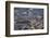 Drum Tower at Rongjiang, Guizhou Province, China, Asia-Bruno Morandi-Framed Photographic Print