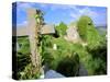 Drumcheehy Church, County Clare, Ballyvaughan, Ireland-Marilyn Parver-Stretched Canvas