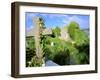 Drumcheehy Church, County Clare, Ballyvaughan, Ireland-Marilyn Parver-Framed Photographic Print