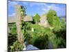 Drumcheehy Church, County Clare, Ballyvaughan, Ireland-Marilyn Parver-Mounted Photographic Print