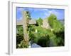 Drumcheehy Church, County Clare, Ballyvaughan, Ireland-Marilyn Parver-Framed Photographic Print