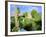 Drumcheehy Church, County Clare, Ballyvaughan, Ireland-Marilyn Parver-Framed Photographic Print