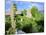 Drumcheehy Church, County Clare, Ballyvaughan, Ireland-Marilyn Parver-Mounted Photographic Print