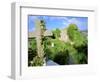 Drumcheehy Church, County Clare, Ballyvaughan, Ireland-Marilyn Parver-Framed Photographic Print