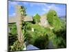 Drumcheehy Church, County Clare, Ballyvaughan, Ireland-Marilyn Parver-Mounted Photographic Print