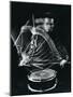 Drummer Gene Krupa Playing Drum at Gjon Mili's Studio-Gjon Mili-Mounted Premium Photographic Print