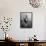 Drummer of Royal Horse Guards Playing Silver Drums Given Regiment by George III in 1805-Cornell Capa-Framed Stretched Canvas displayed on a wall