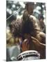 Drummer Playing Instrument with Hands During Woodstock Music Festival-Bill Eppridge-Mounted Photographic Print