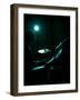 Drummer-David Ridley-Framed Photographic Print