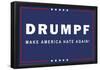 Drumpf Make America Hate Again-null-Framed Poster