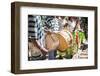 Drums and Traditional Music at Ambohimahasoa, Haute Matsiatra Region, Madagascar Central Highlands-Matthew Williams-Ellis-Framed Photographic Print