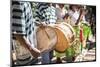 Drums and Traditional Music at Ambohimahasoa, Haute Matsiatra Region, Madagascar Central Highlands-Matthew Williams-Ellis-Mounted Photographic Print