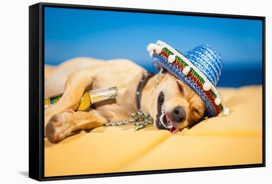 Drunk Mexican Dog-Javier Brosch-Framed Stretched Canvas