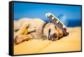 Drunk Mexican Dog-Javier Brosch-Framed Stretched Canvas