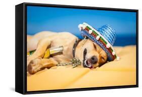 Drunk Mexican Dog-Javier Brosch-Framed Stretched Canvas