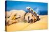 Drunk Mexican Dog-Javier Brosch-Stretched Canvas