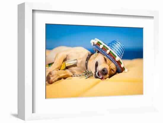 Drunk Mexican Dog-Javier Brosch-Framed Photographic Print