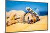 Drunk Mexican Dog-Javier Brosch-Mounted Photographic Print